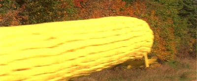 史崔特先生的故事剧照的剧照