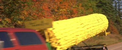 史崔特先生的故事剧照的剧照