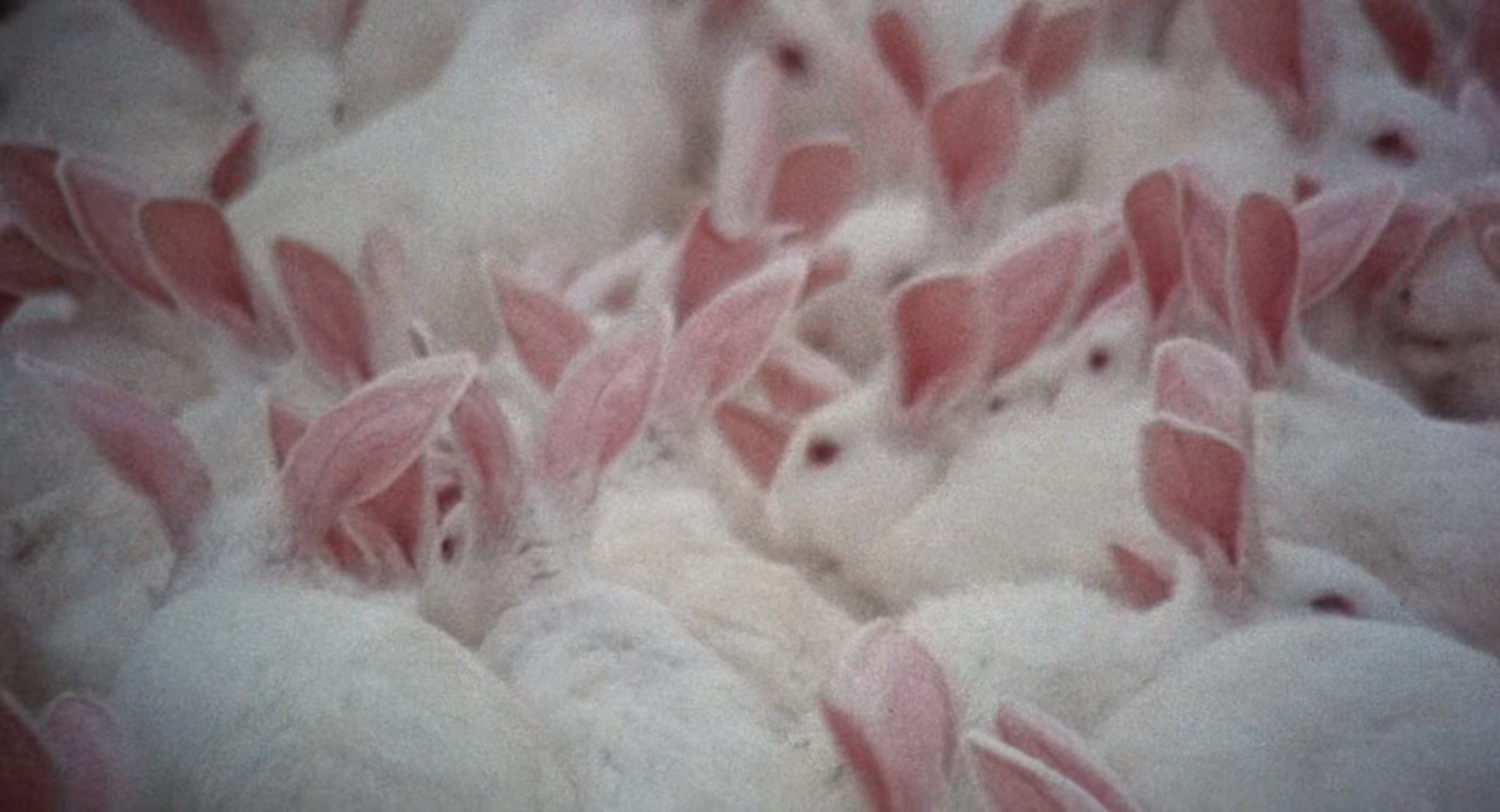 性爱宝典剧照的剧照