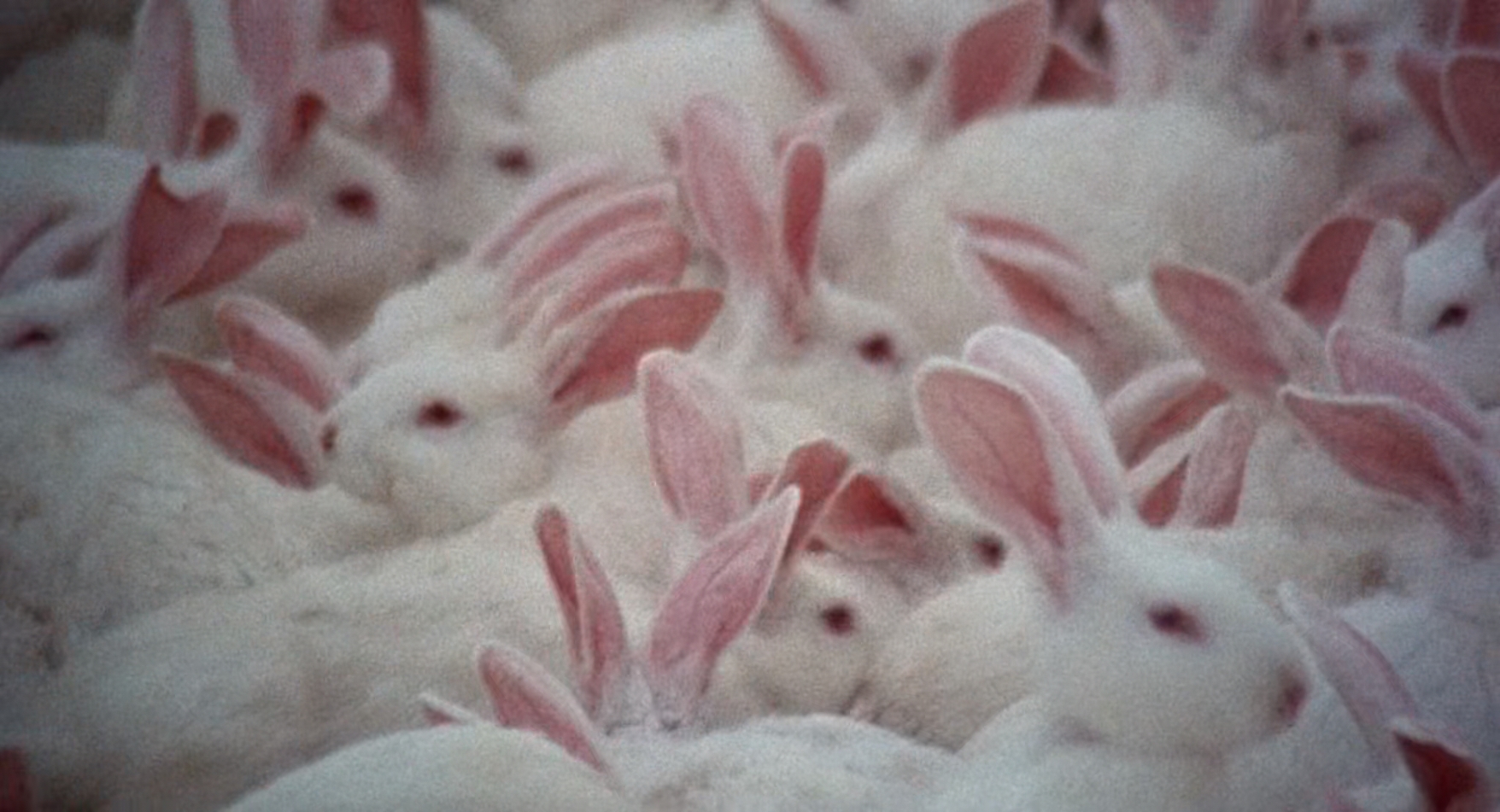 性爱宝典剧照的剧照