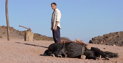 远离人迹剧照的剧照