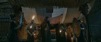 帕德玛瓦蒂王后剧照的剧照