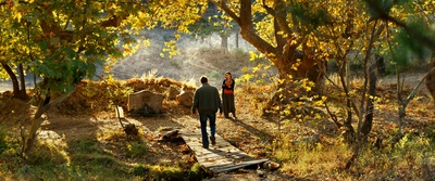 野梨树剧照的剧照