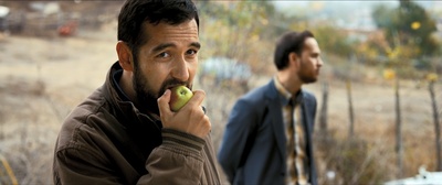 野梨树剧照的剧照