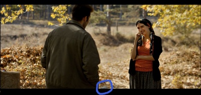 野梨树剧照的剧照