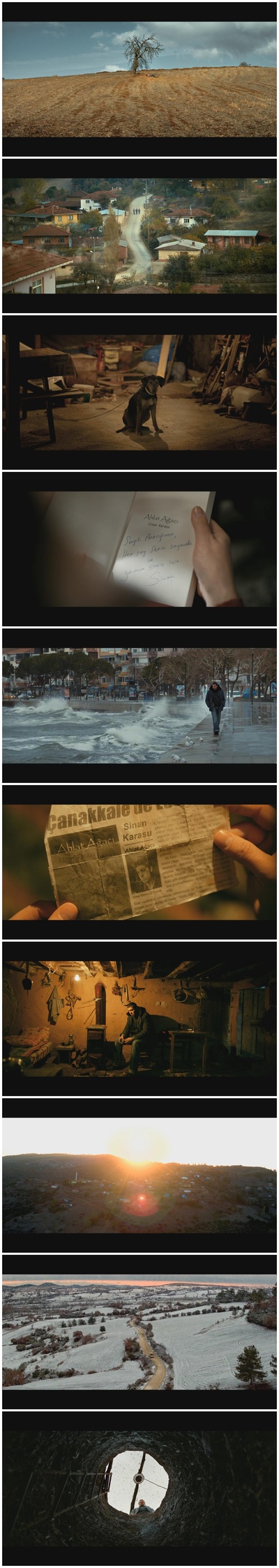 野梨树剧照的剧照