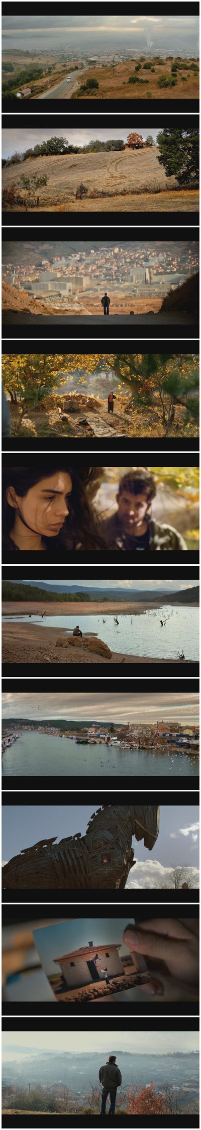 野梨树剧照的剧照