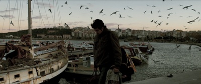 野梨树剧照的剧照