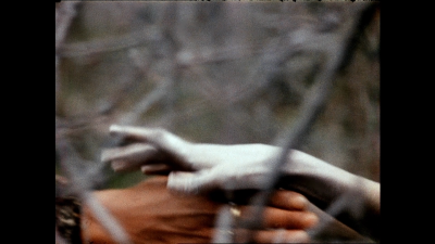 被遗忘的祖先的阴影剧照的剧照