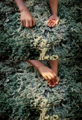 被遗忘的祖先的阴影剧照的剧照