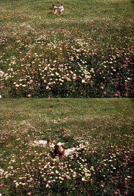 被遗忘的祖先的阴影剧照的剧照