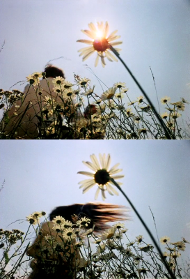 被遗忘的祖先的阴影剧照的剧照