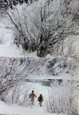 被遗忘的祖先的阴影剧照的剧照