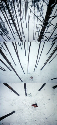 被遗忘的祖先的阴影剧照的剧照