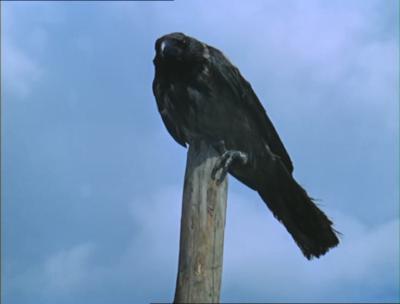 被遗忘的祖先的阴影剧照的剧照