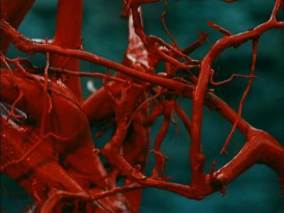 被遗忘的祖先的阴影剧照的剧照