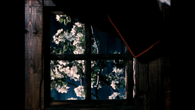 被遗忘的祖先的阴影剧照的剧照