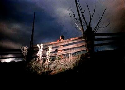 被遗忘的祖先的阴影剧照的剧照