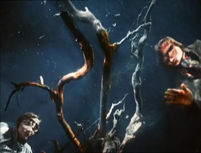 被遗忘的祖先的阴影剧照的剧照