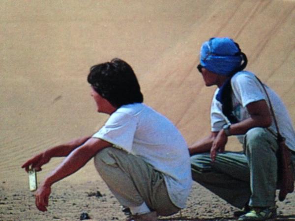 飞鹰计划剧照的剧照