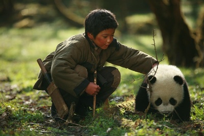 熊猫回家路剧照的剧照