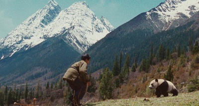 熊猫回家路剧照的剧照