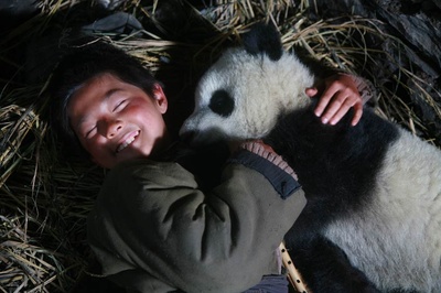 熊猫回家路剧照的剧照
