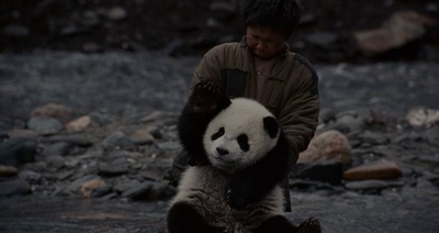 熊猫回家路剧照的剧照