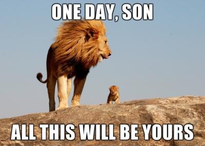 狮子王剧照的剧照