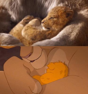 狮子王剧照的剧照