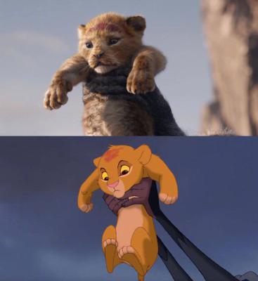 狮子王剧照的剧照