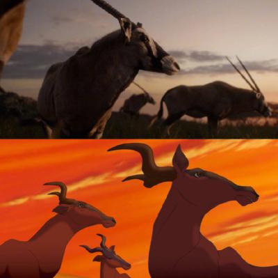 狮子王剧照的剧照