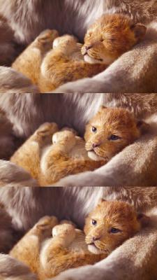 狮子王剧照的剧照