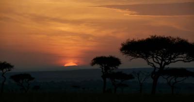 狮子王剧照的剧照