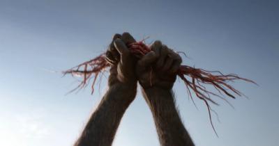 狮子王剧照的剧照