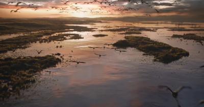 狮子王剧照的剧照