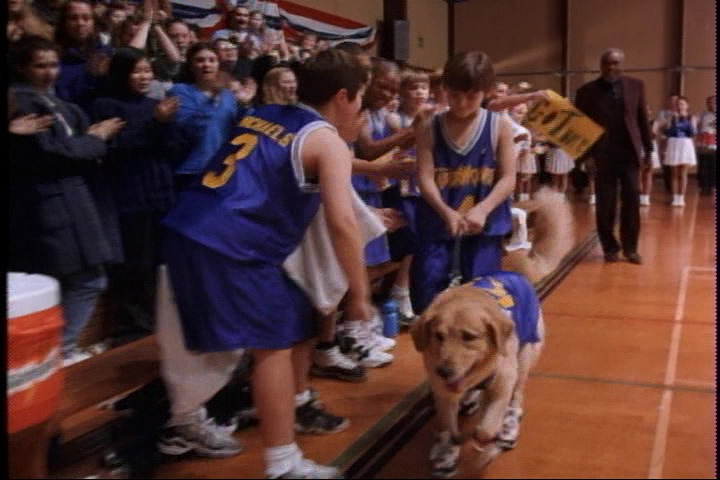 飞狗巴迪剧照的剧照