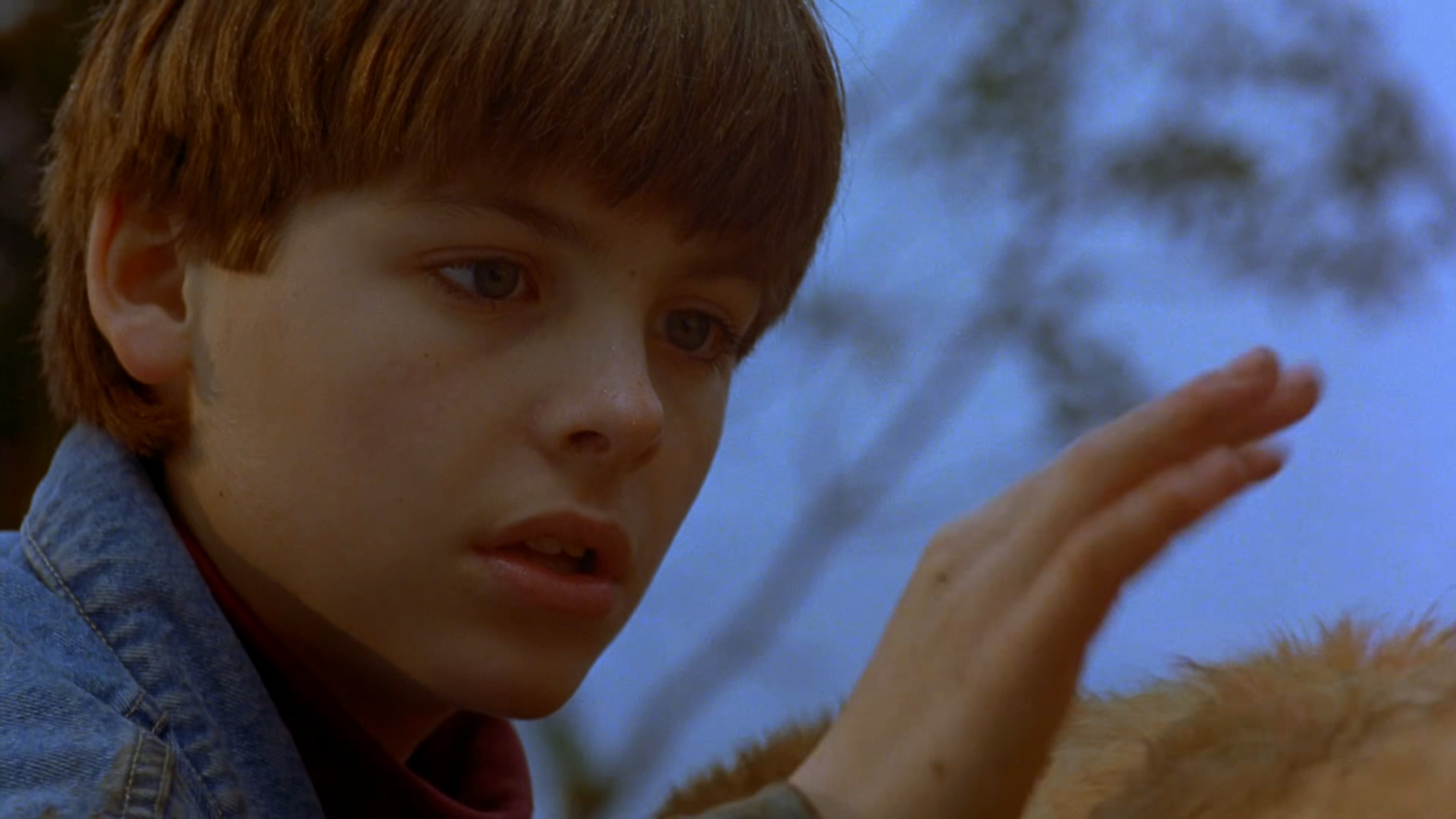 飞狗巴迪剧照的剧照