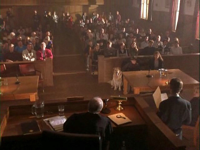 飞狗巴迪剧照的剧照