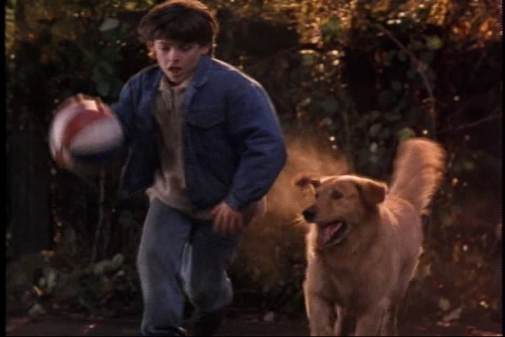 飞狗巴迪剧照的剧照