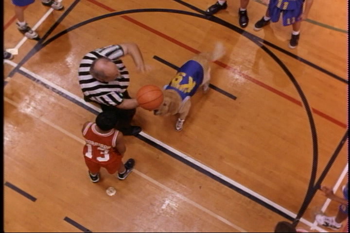 飞狗巴迪剧照的剧照