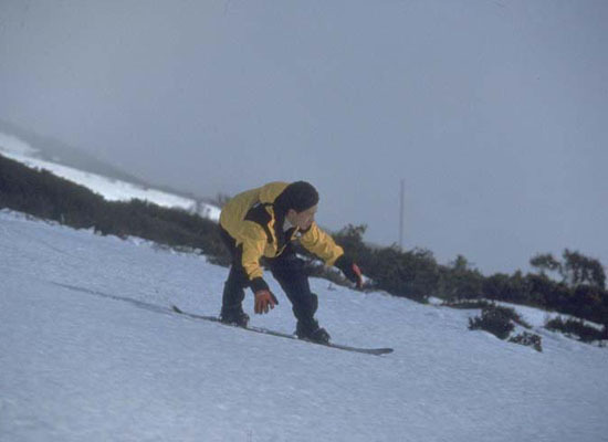 警察故事4：简单任务剧照的剧照