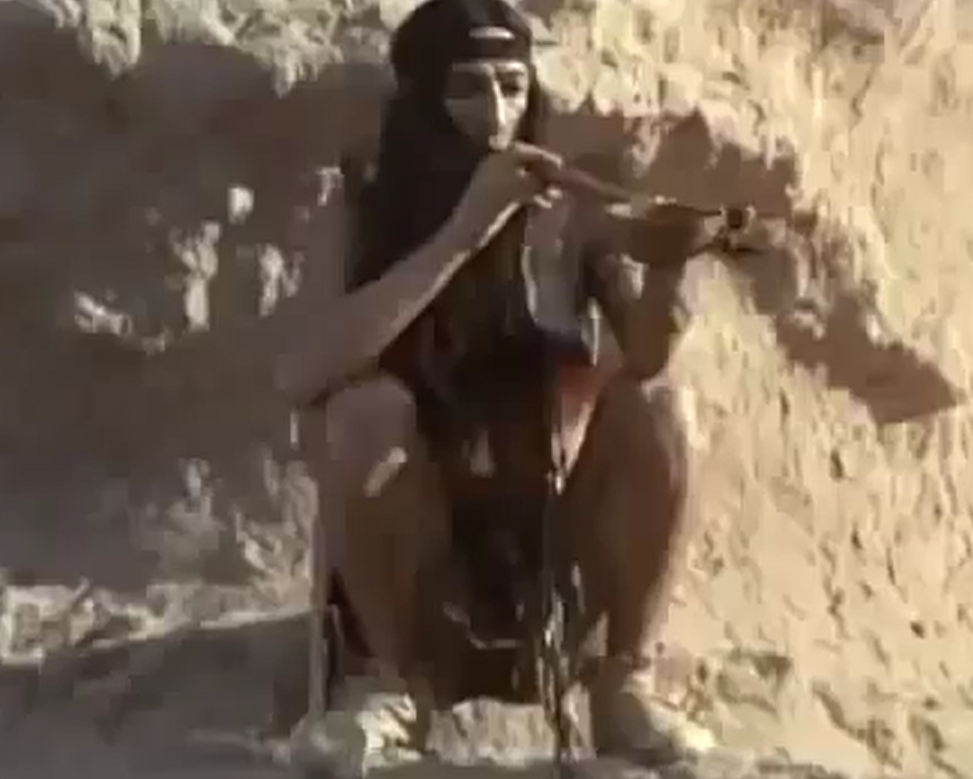 墨西哥人的宫殿剧照的剧照