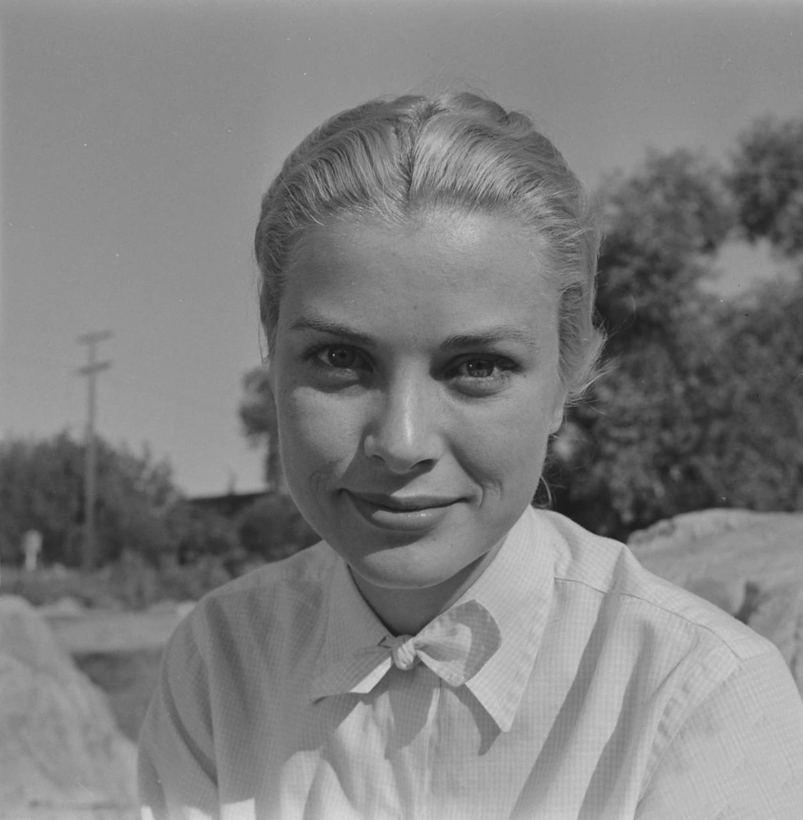 正午剧照的剧照