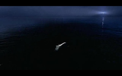 彼得潘公式剧照的剧照