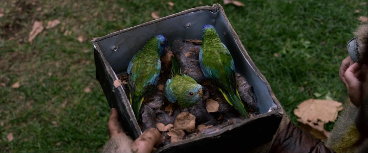 蒙上你的眼剧照的剧照