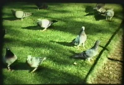 梦想者四夜剧照的剧照