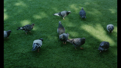 梦想者四夜剧照的剧照