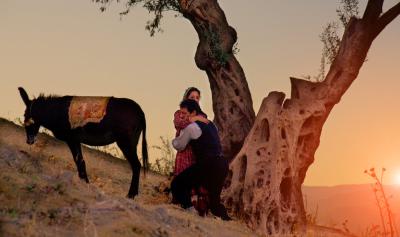 阿曼尼亚：欢迎来到德国剧照的剧照