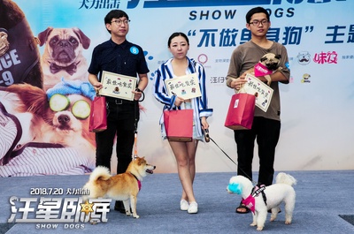 汪星卧底剧照的剧照